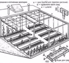 Как построить солнечный вегетарий Иванова