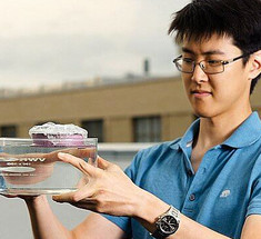 Специалисты MIT разработали губку, которая кипятит воду