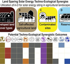 Ученые нашли способ закончить войну между солнечной энергетикой и фермерами