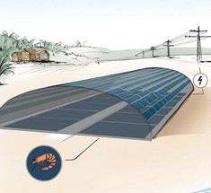 Аквафотовольтаика: солнечные электростанции совместят с фермами по разведению рыбы и креветок