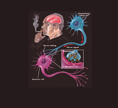 Отказ от курения начинается с мозга