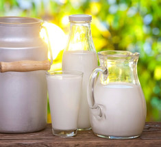Гипс и мыло — это прошлый век: как фальсифицируют молоко в России