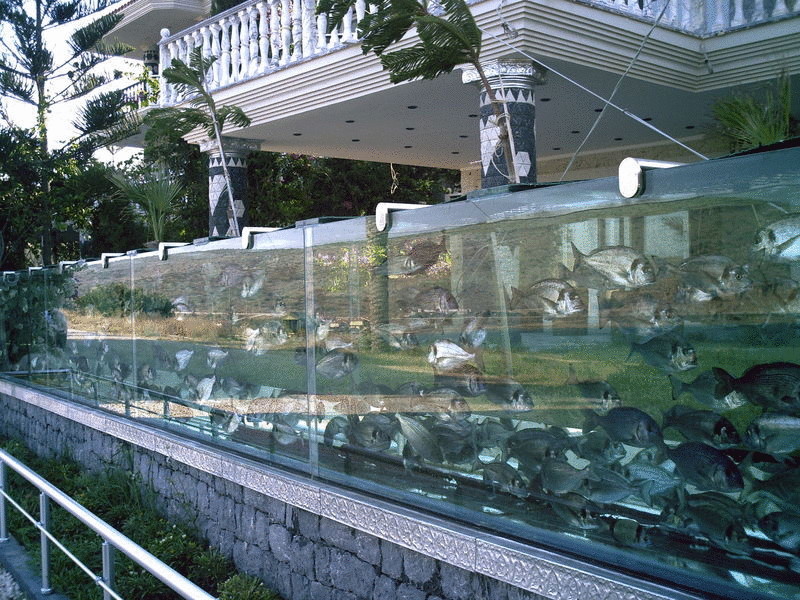 Гигантский 50-метровый аквариум - уникальная турецкая достопримечательность 