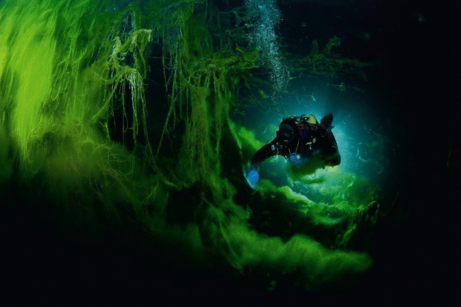 Фантастические профессии: подводная археология
