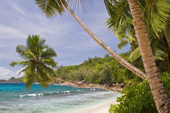 Шикарные пляжи Сейшельских островов