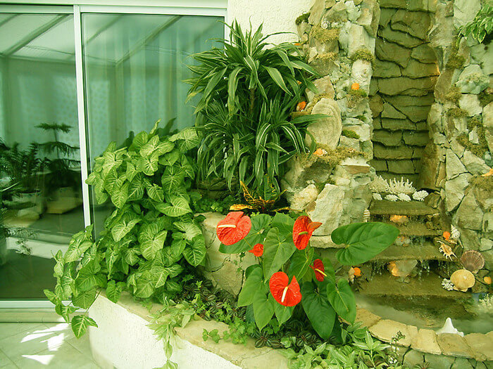 Растения в интерьере вашего дома