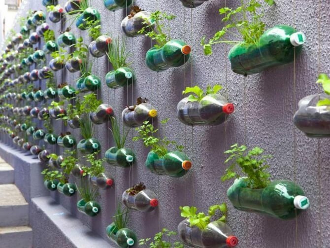 Вторая жизнь пластиковых бутылок в саду и огороде