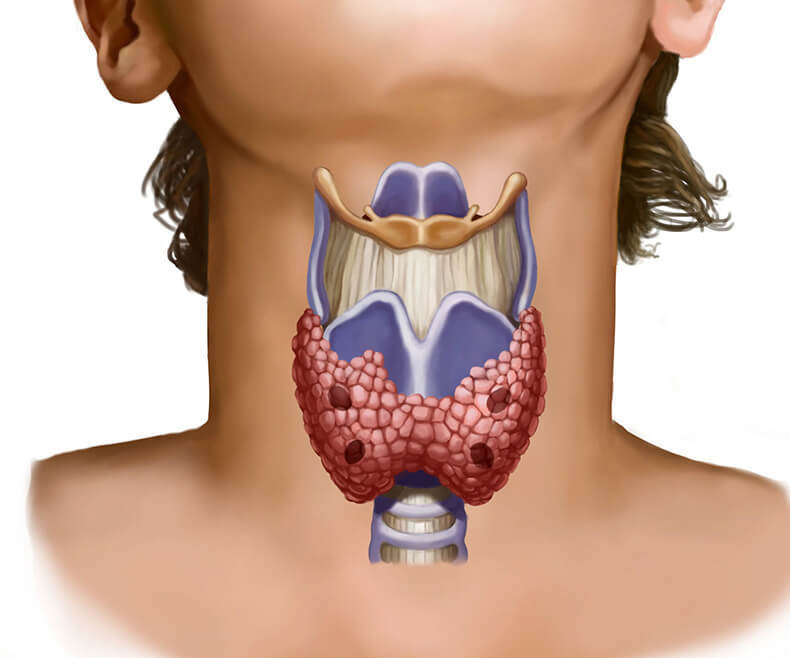 Что может рассказать ваша температура о щитовидной железе