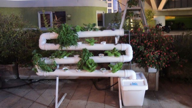 Городская ферма на крыше в Тель-Авиве производит 10 000 голов салата каждый месяц