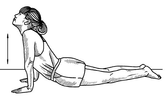 Упражнения при грудном кифозе