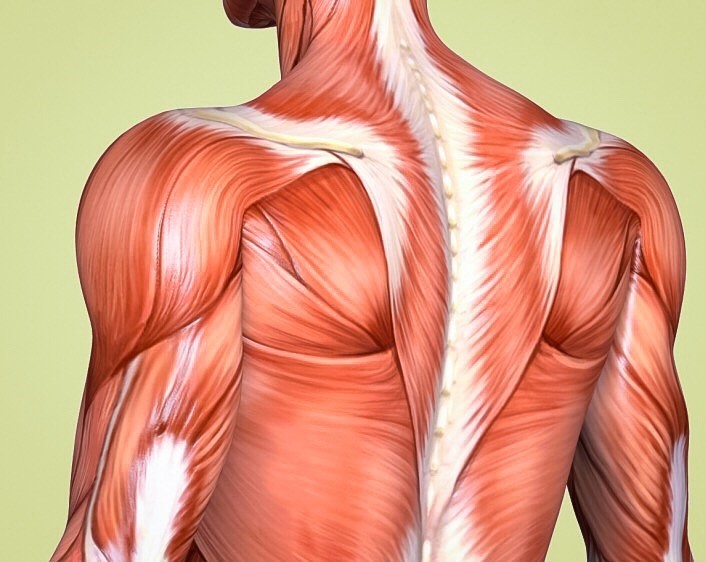 2 простых упражнения, которые помогут при болях в плечах