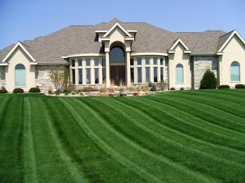 Как разбить красивый газон возле дома 
