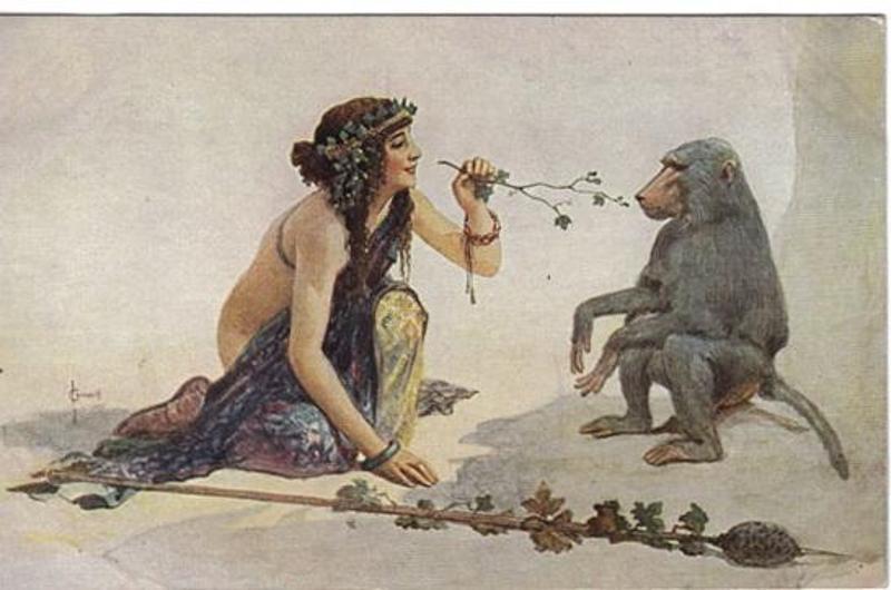 Игорь Губерман: о людях и обезьянах