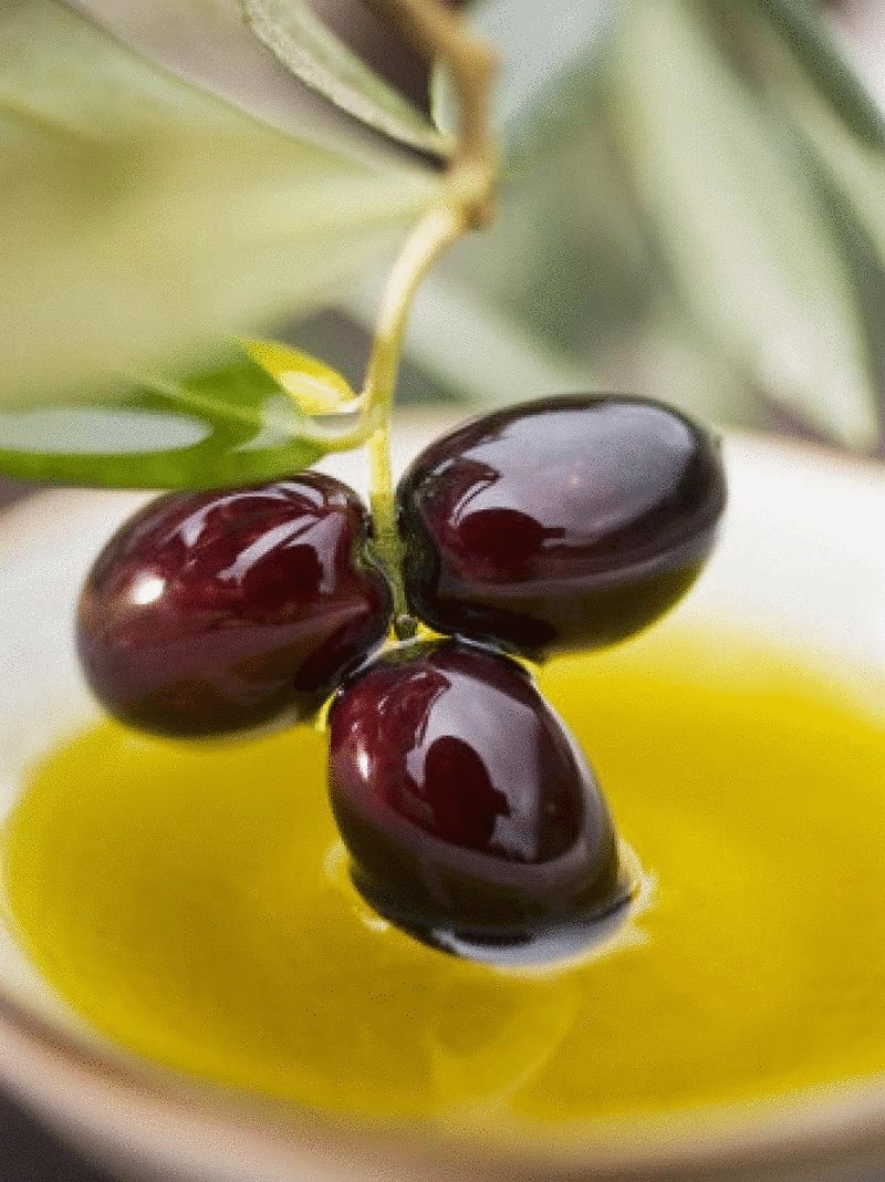 оливки маслины
