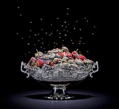 Почему черная гниль поражает ягоды клубники, малины, ежевики