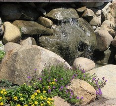 8 правил размещения растений в рокарии