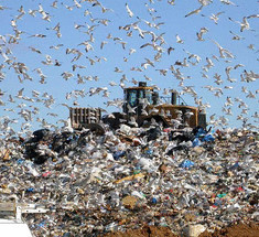  Экологичный способ добычи энергии на свалке