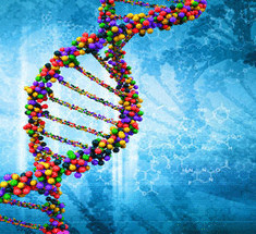 Учеными определен ген, увеличивающий риск рака от мяса