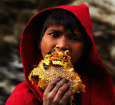 Фоторепортаж Аndrew newey— сбор мёда в Непале