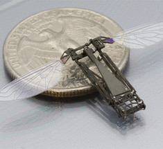 На микрофабрике будут трудиться крошечные роботы +видео