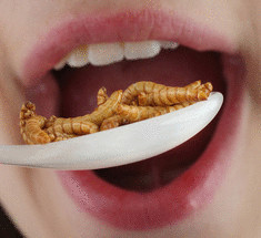 Китайские космонавты употребляют в пищу червей