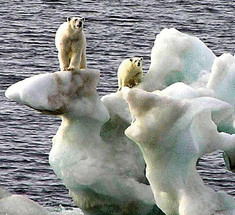  Арктические льды нуждаются в очистке