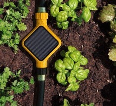 Умная гаджет «EDYN» на солнечных батареях - сад и огород всегда будут зелеными  