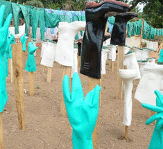 От лихорадки Эбола в Африке погибло уже свыше 600 человек