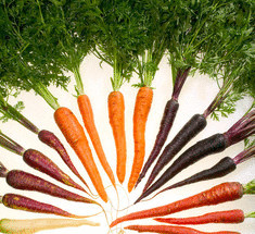 Ферментированная морковь с имбирем