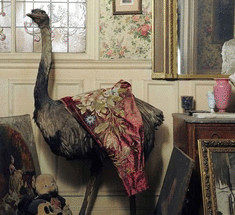 В Париже нашли квартиру, нетронутую в течении 70 лет