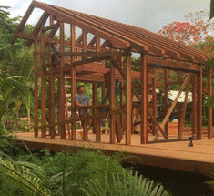 Дом на Гаваях  из дерева,собранного на острове