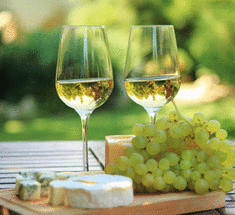 Белое вино защитит кожу от ультрафиолета