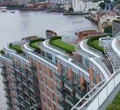 В отсутствие зеленых насаждений, жители Бухареста нашли решение - висячие сады