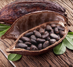 Производство какао на грани риска
