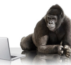 Как делают невероятное стекло Gorilla Glass