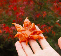 Изысканные жареные кленовые листья из Японии