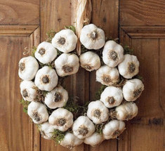 Чеснок — современная наука согласна с Гиппократом