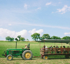 Здоровая еда - здоровый пациент