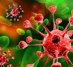 Найдено доказательство того, что вирусы — живые организмы