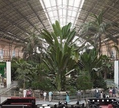 Вокзал Аточа и его тропический сад