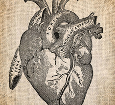 Кардиохирург рассказывает об истинных причинах сердечных заболеваний