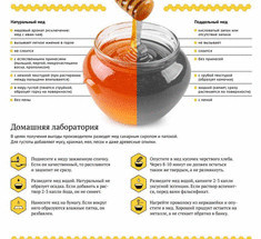 Как правильно выбрать натуральный пчелиный  мёд