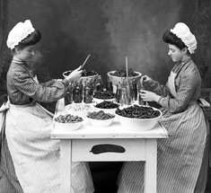  Два традиционных рецепта 1909 года  засолки огурцов