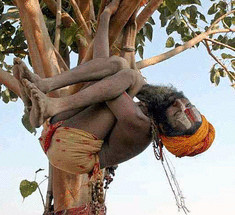 Тыжейог  как способ жизни