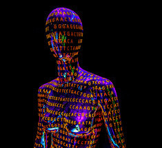 Геном человека — открытая система, чутко реагирующая на особенности нашего  рациона