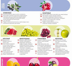 Узнайте какие фрукты полезнее есть с косточками, а какие – без