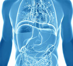 Исследование: добавление магния в диету способствует профилактике рака поджелудочной железы