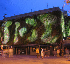 Вертикальные сады диктуют экологическую моду в Европе