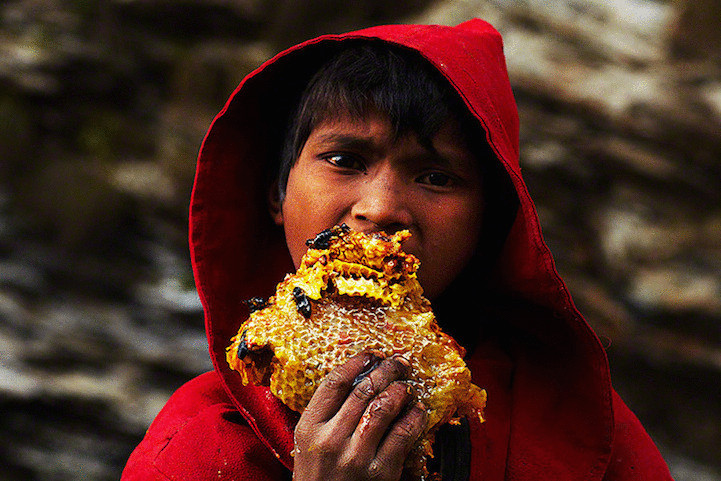 Фоторепортаж Аndrew newey— сбор мёда в Непале