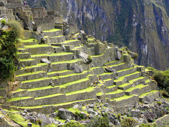 Интересные факты о городе инков – Мачу-Пикчу